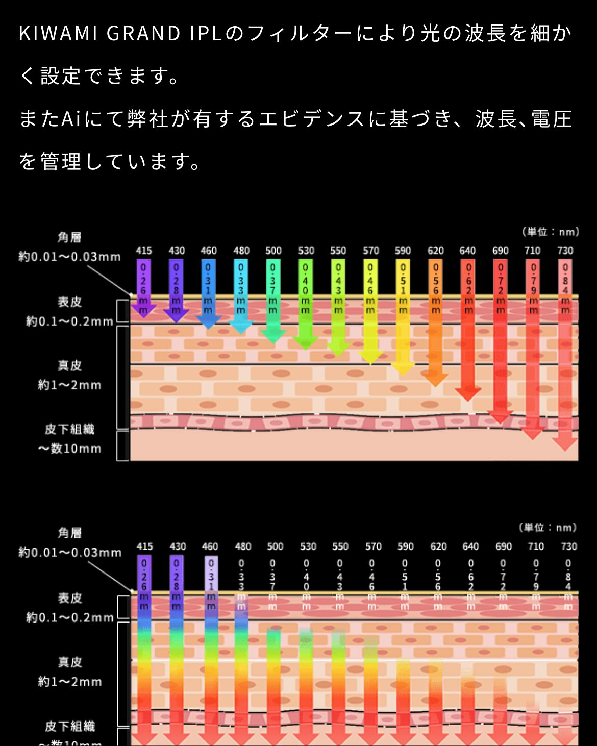 リアボーテKIWAMI❤️最高美肌に仕上げるGRANDIPL...