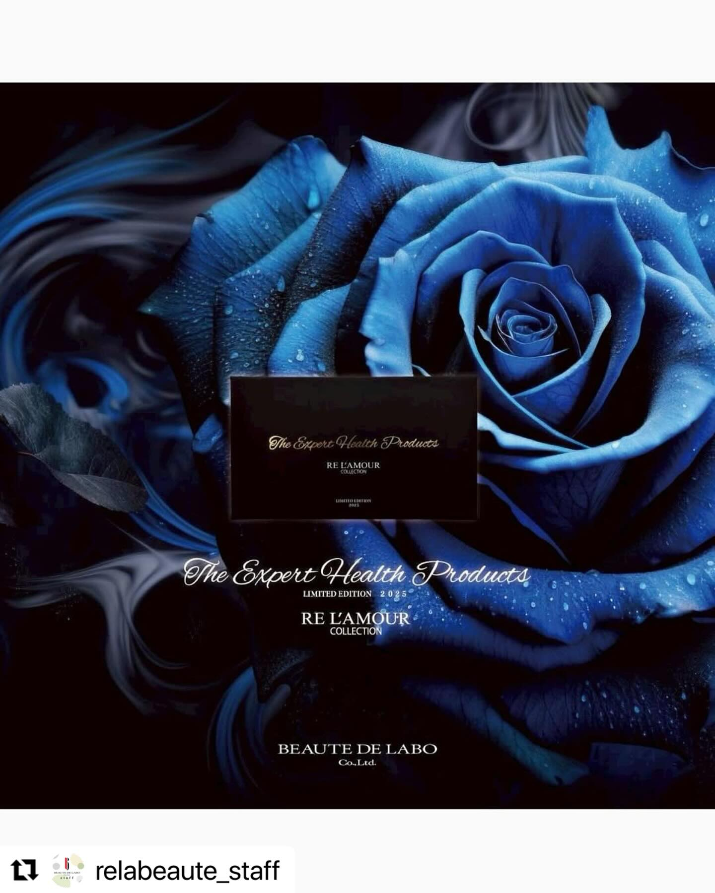 リアムールリエキスパートスタイル&ボンバー❤️リアボーテクリ...