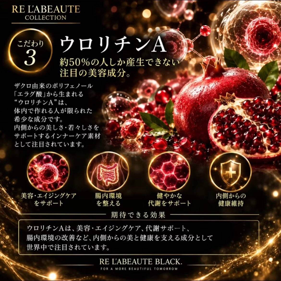 健美菜BLACK🖤抽選限定品🌿