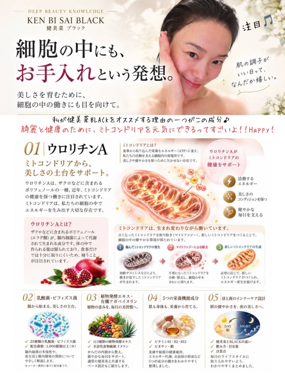 健美菜BLACK 限定発売🌿